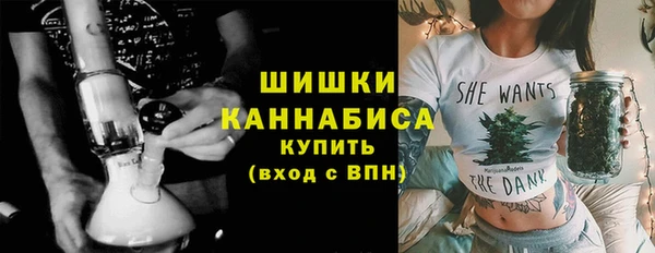 индика Волосово