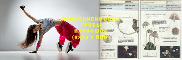 ешки Волоколамск
