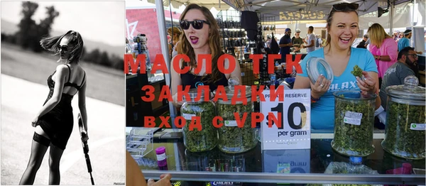 индика Волосово