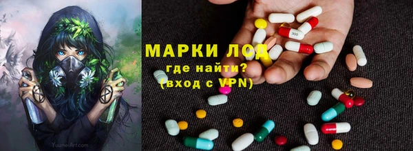 индика Волосово