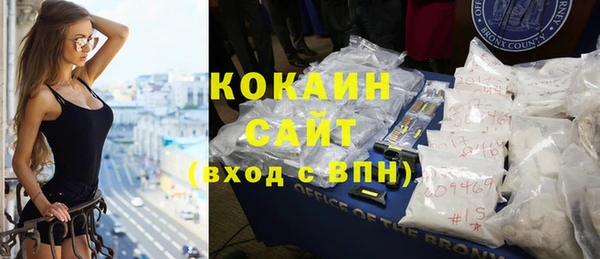 индика Волосово