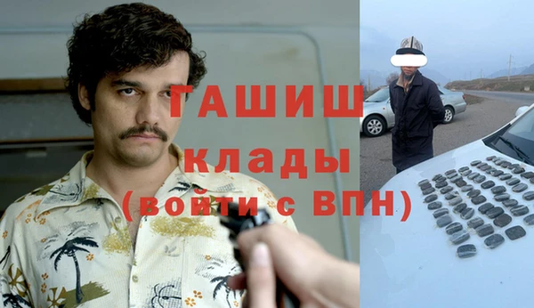 индика Волосово