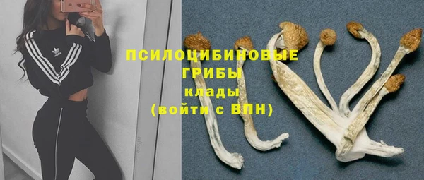 jwh Вяземский