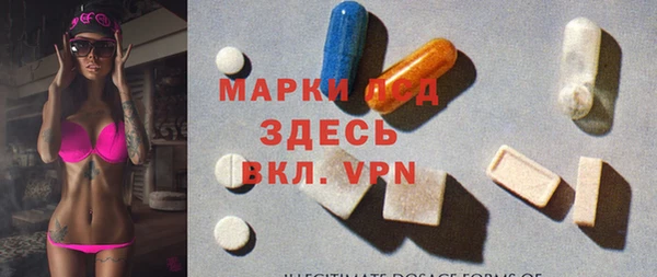 индика Волосово