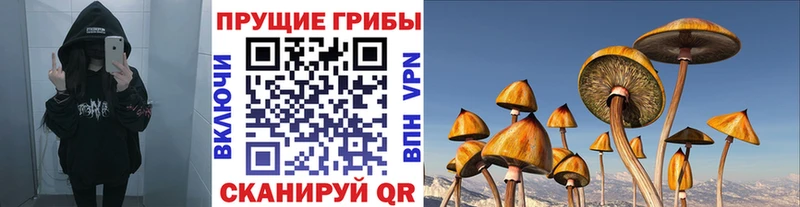 MEGA как войти  Заполярный  Псилоцибиновые грибы прущие грибы 